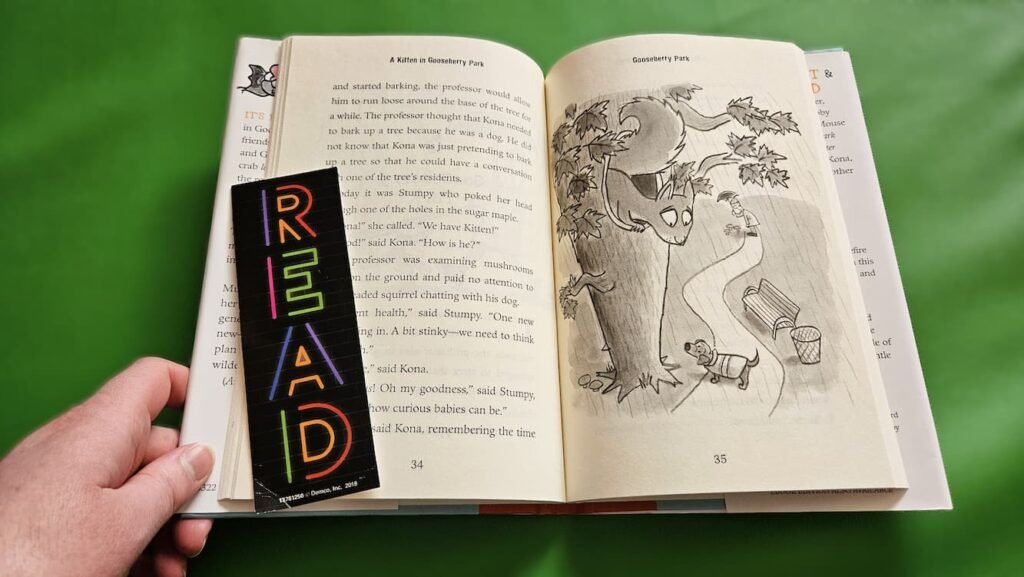 Open Book with Bookmark