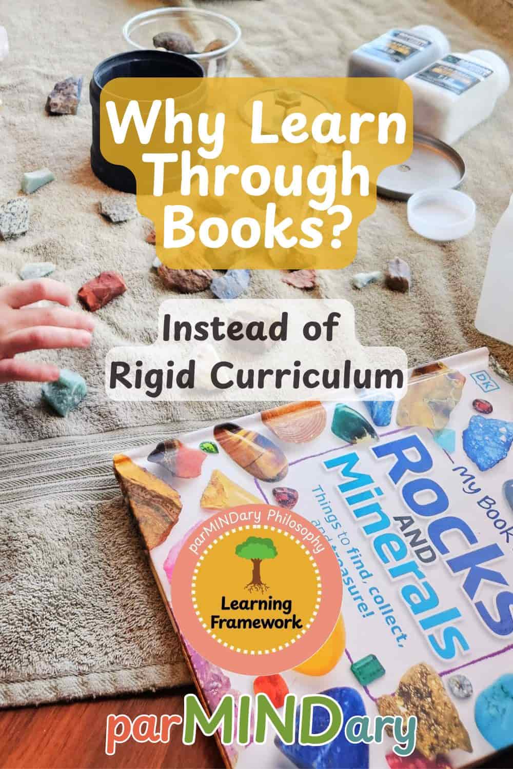 Why Learn Through Books Instead of Rigid Curriculum Pin
