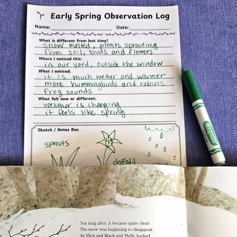 Early Spring Observation Log