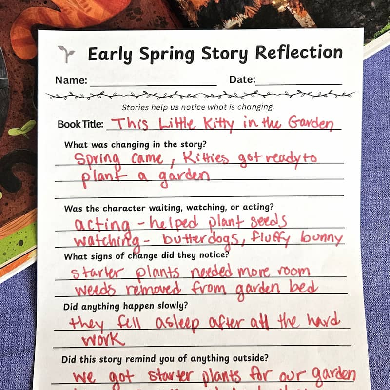 Early Spring Story Reflection