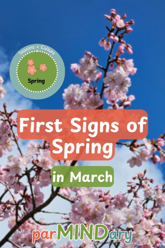 First Signs of Spring in March Cherryblossom Pin