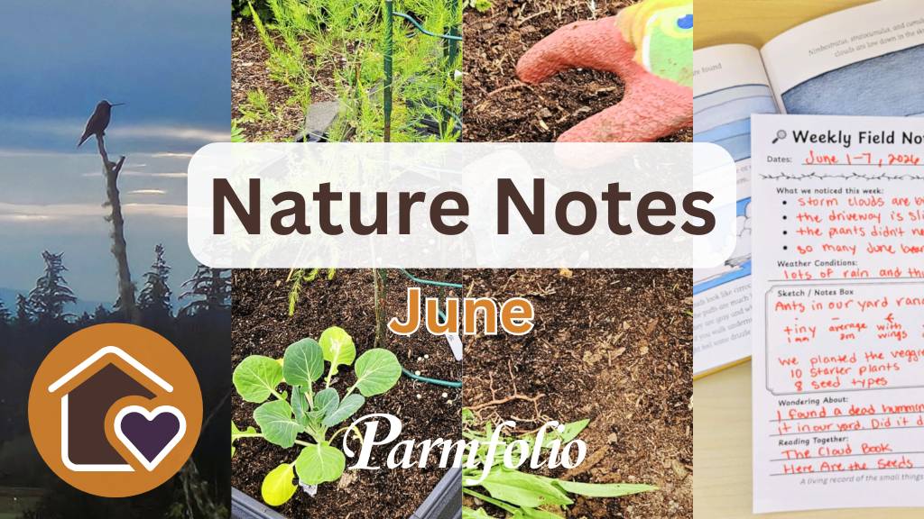 Parmfolio Field Journal post June Nature Notes
