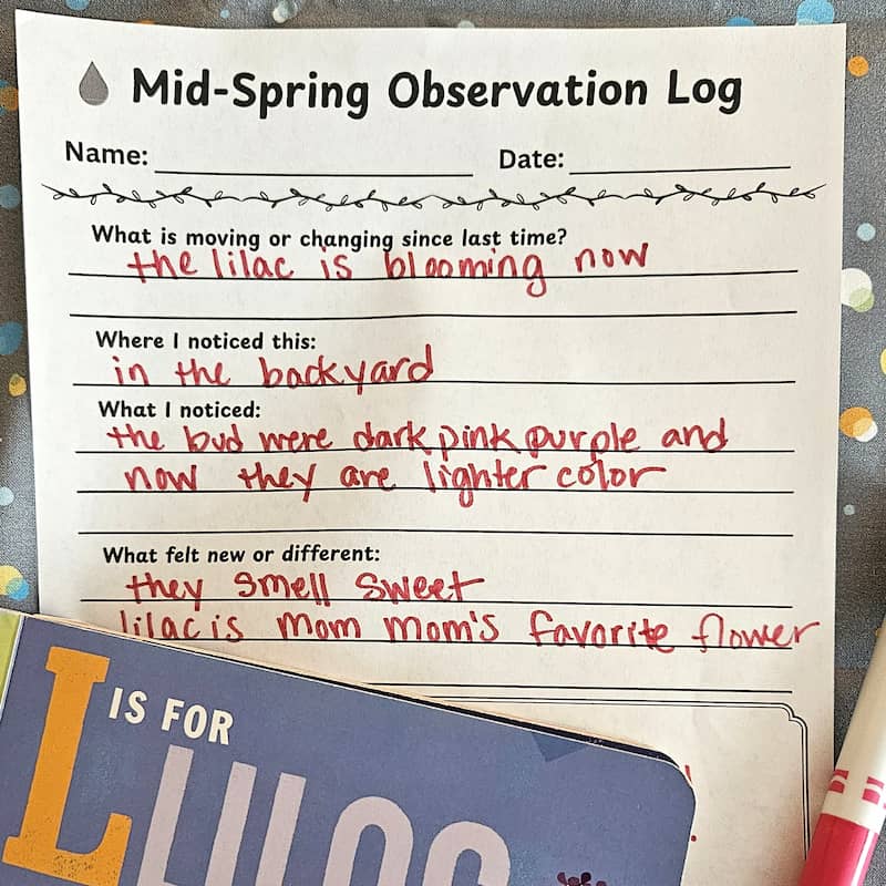 Mid Spring Observation Log