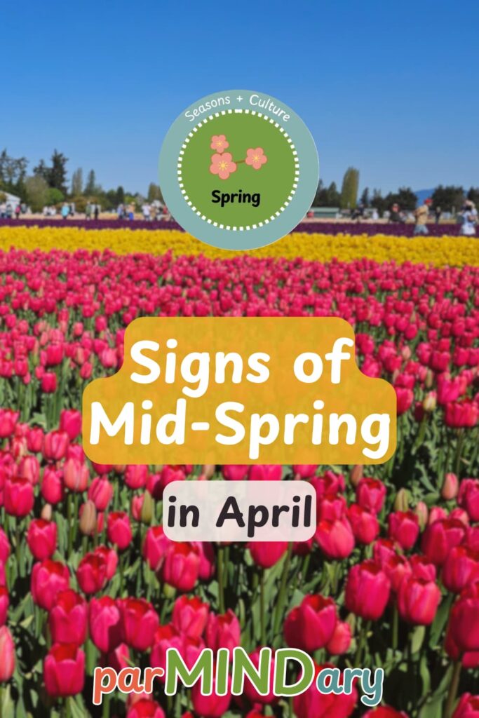 Signs of Mid Spring in April Pin