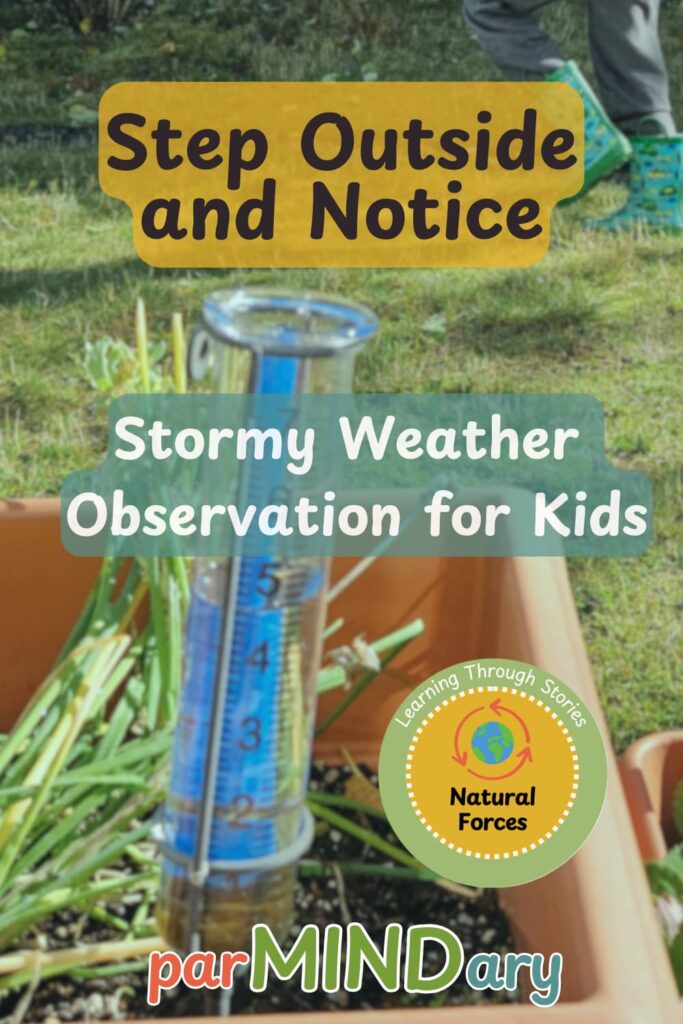 Stormy Weather Observation for Kids Pin