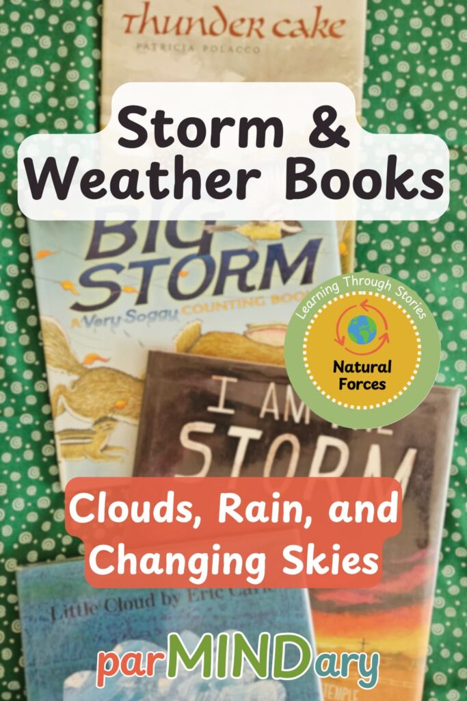 Changing Weather Storm Books Pin