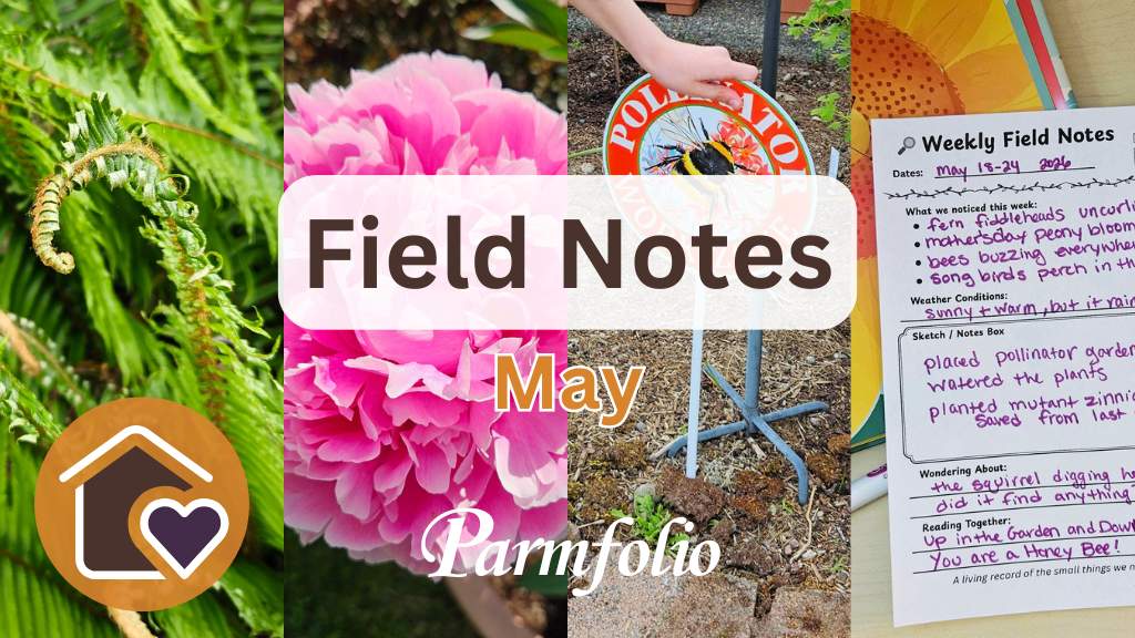 Parmfolio Field Journal post Field Notes May