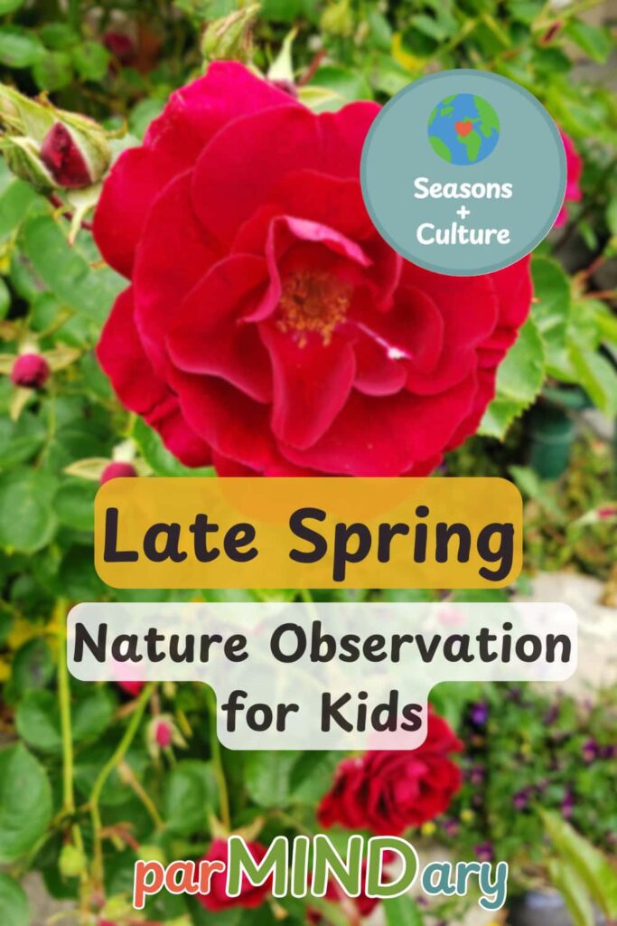 Late Spring Nature Observation for Kids Pin
