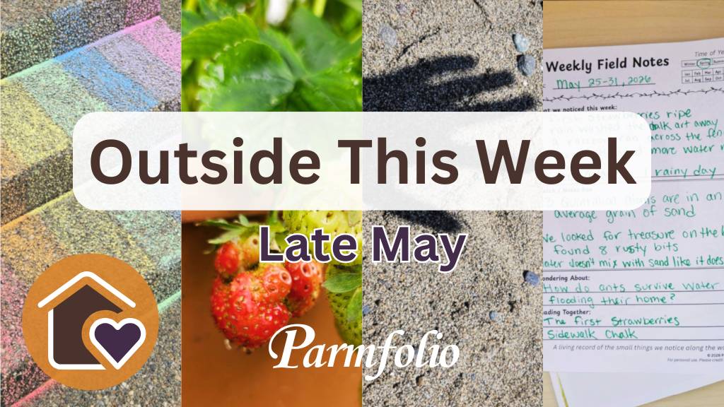Parmfolio Field Journal post Outside This Week Late May
