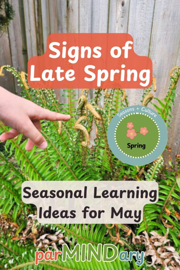 Signs of Late Spring Seasonal Learning for May Pin