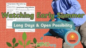 Watching Early Summer Long Days and Open Possibility Featured Image