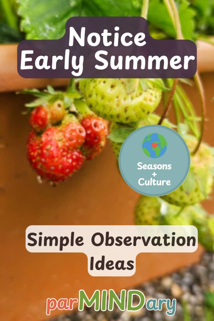 Notice Early Summer Simple Observation Ideas Pin
