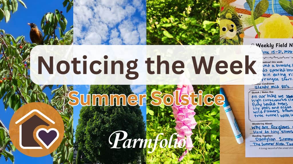 Noticing the Week Summer Solstice Featured Image