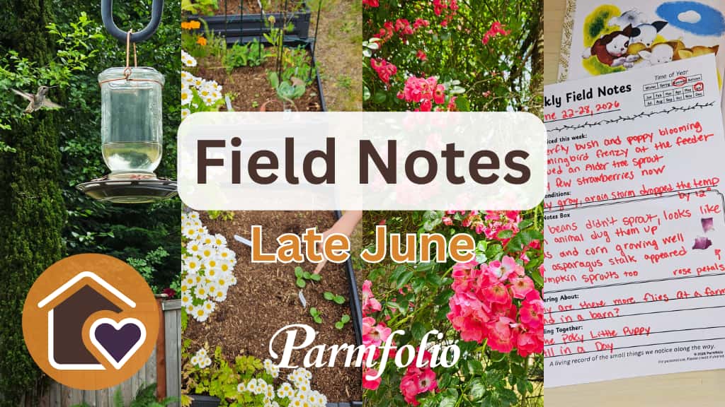 Parmfolio Post: Field Notes Late June Featured Image