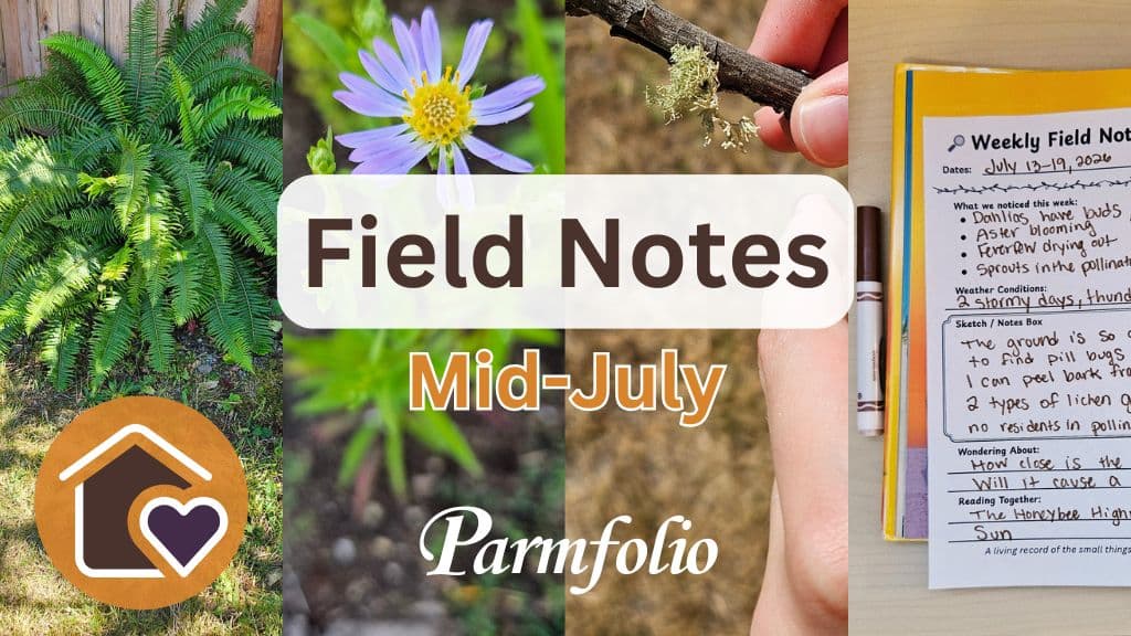 Parmfolio Field Notes Mid July Post