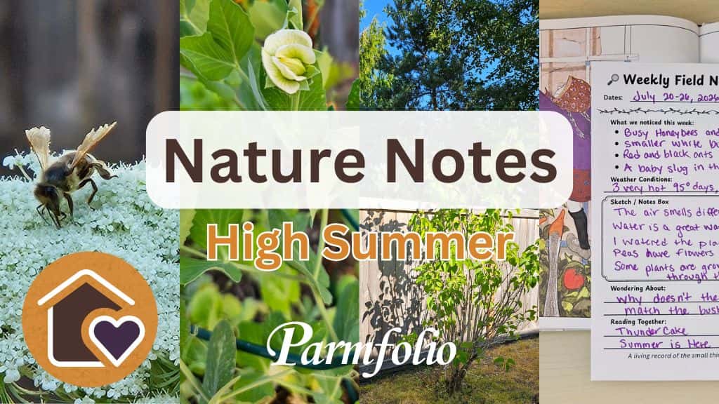 Parmfolio Nature Notes High Summer