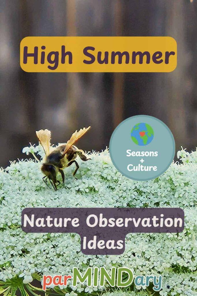 Notice High Summer Nature Observation Ideas for Kids Pin