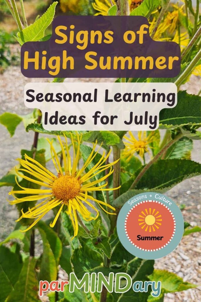 Signs of High Summer Seasonal Learning Ideas for July Pin