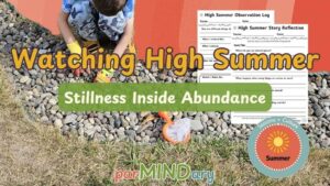 Watching High Summer Stillness Inside Abundance Featured Image
