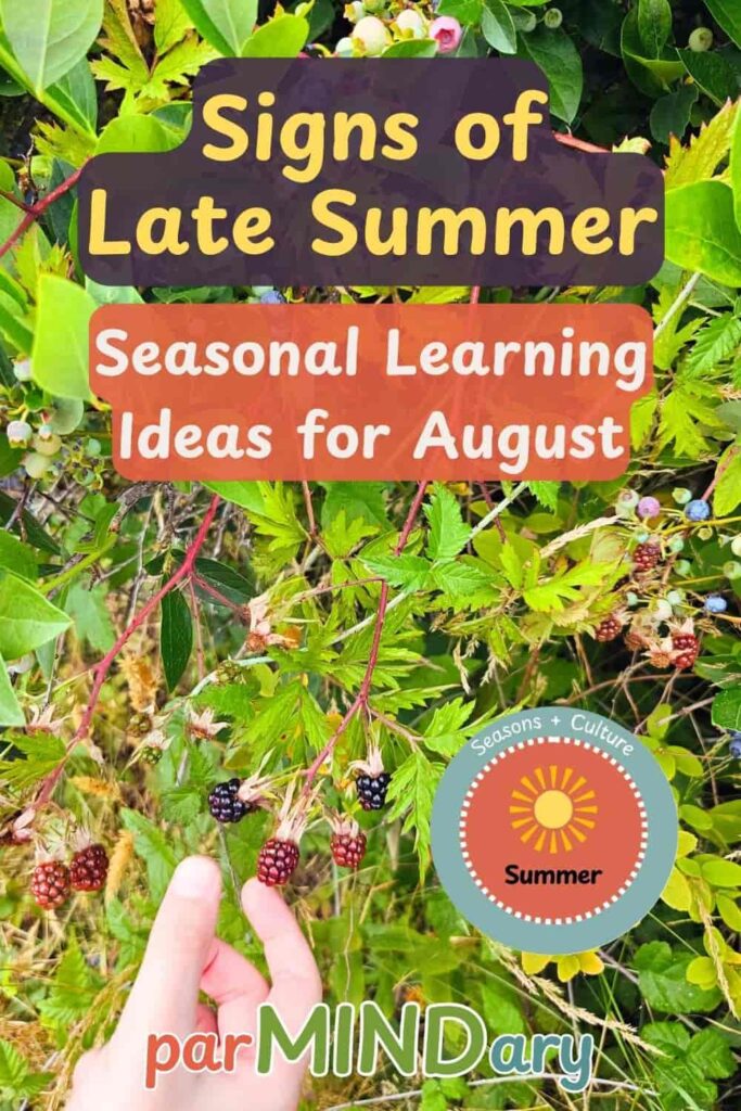 Signs of Late Summer August Seasonal Learning Ideas Pin