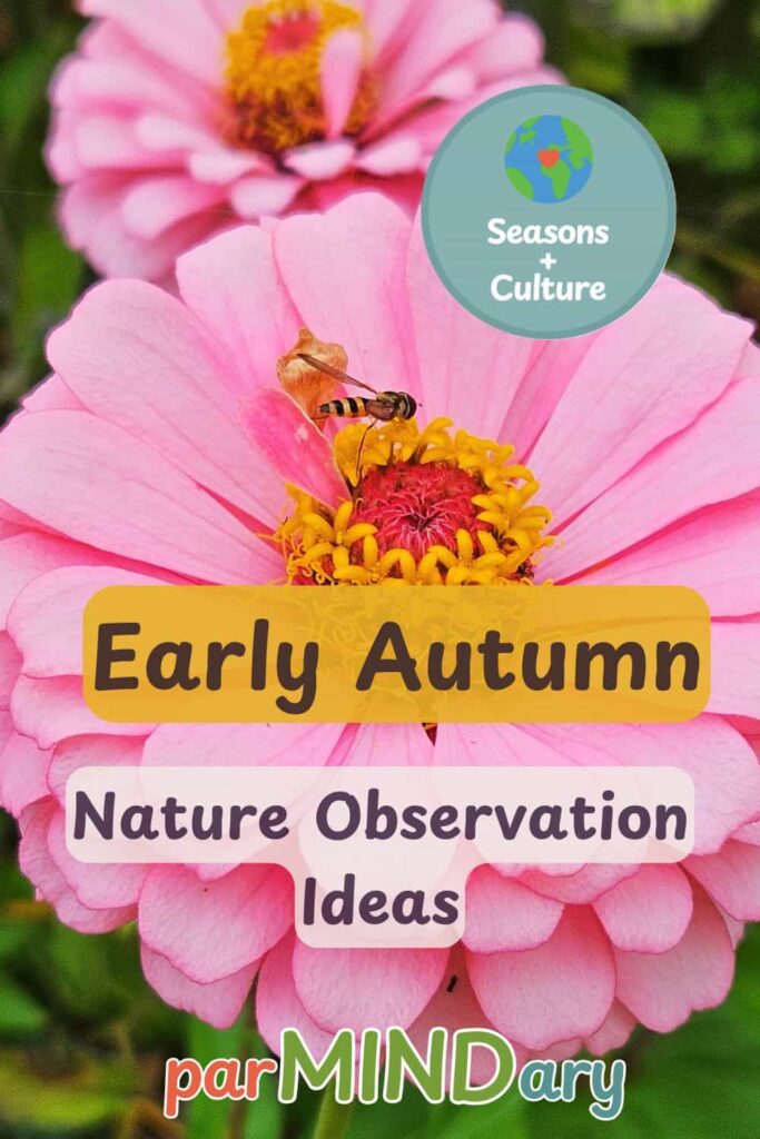 Early Autumn Nature Observation Ideas Pin