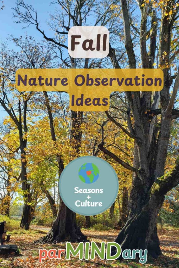 Fall Nature Observation Ideas Pin